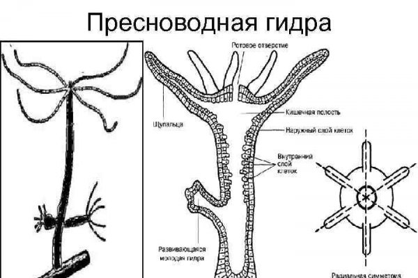 Kraken tor onion зеркало