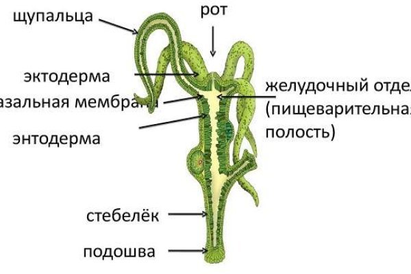 Кракен сайт ссылка