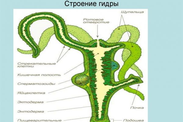 Гидра зеркало