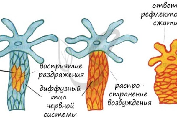 Кракен сайт тор ссылка